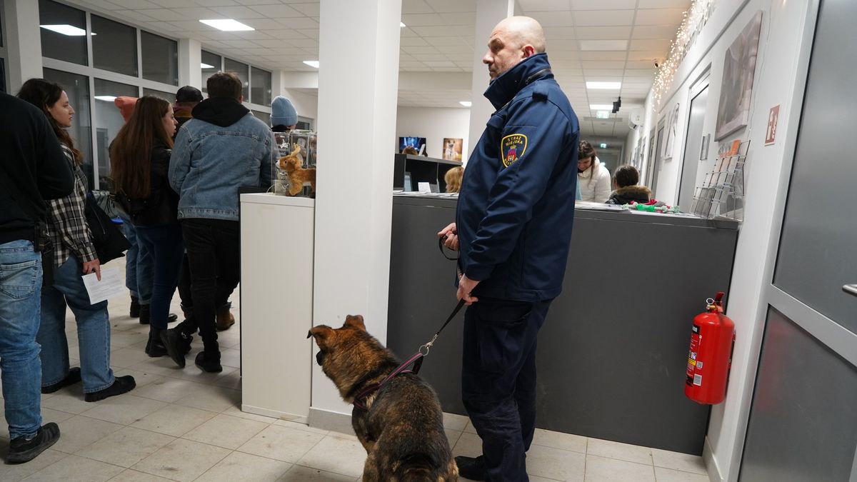 strażnicy chcieli wlepiać mandaty, zamiast tego zaopiekowali się bezdomnym pieskiem