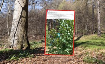 Pokazali zdjęcie z lasu. "Zachowajcie ostrożność"