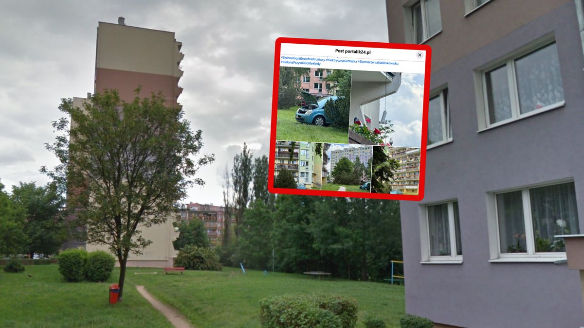 Zaskakujące obrazki w Jeleniej Górze.