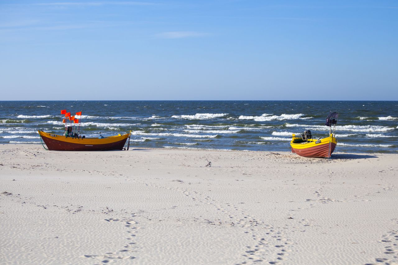 Pomorskie. Niespodziewani goście na plaży w Ustce