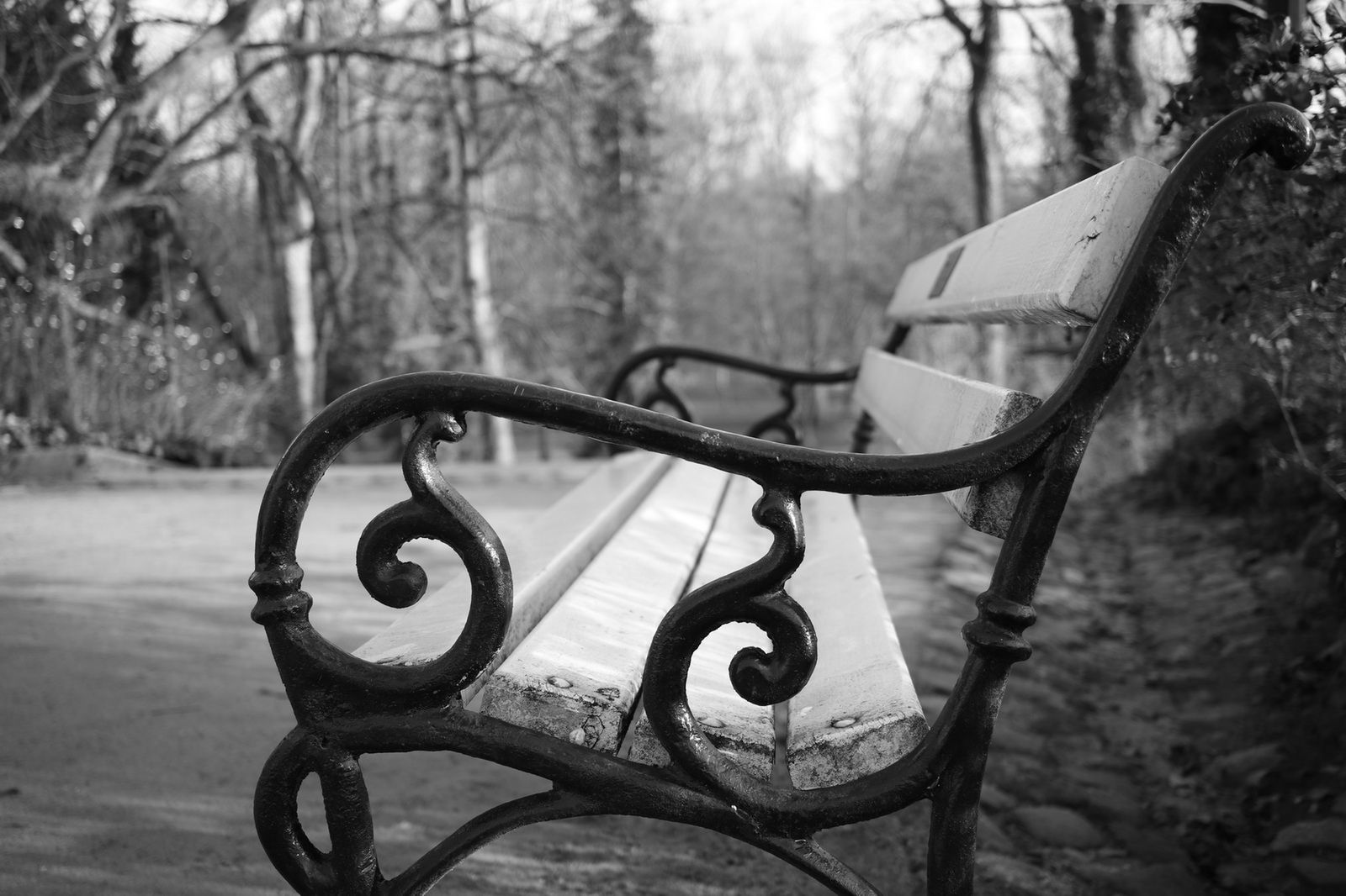 TEST: Canon EOS 200D – pomysł na maleństwo 17