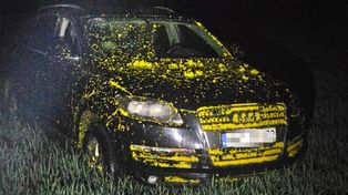 Fałszywa kradzież Audi pod Wyszkowem. Policja szybko odkryła prawdę!