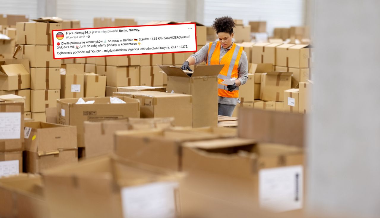 Niemcy szukają do pracy. Oto stawka. Poruszenie w Polsce