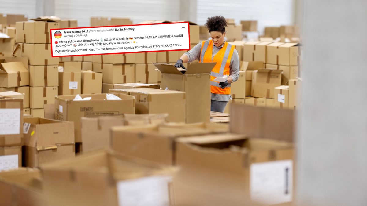 Oferta z Niemiec. Polacy aż się rzucili.