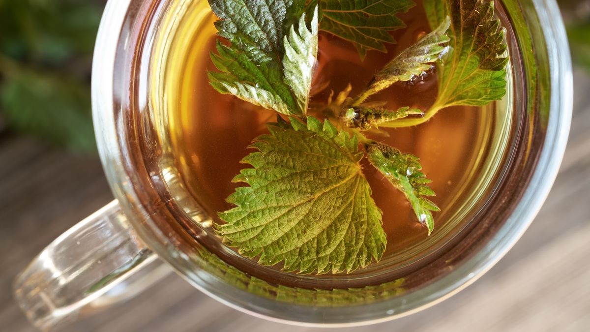 Pokrzywa wzmacnia włosy i przyspiesza ich porost