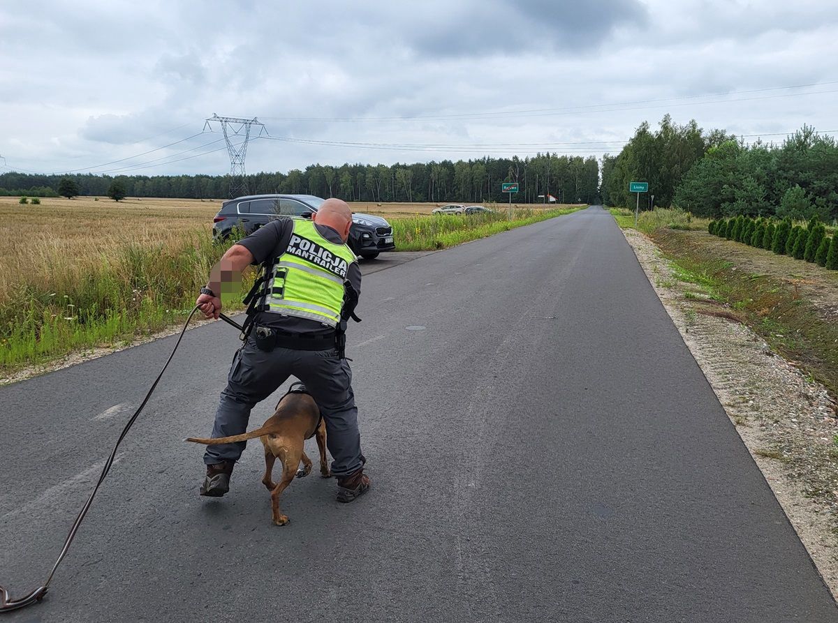 Poszukiwania Jowity Zielińskiej ze wsi Lisiny