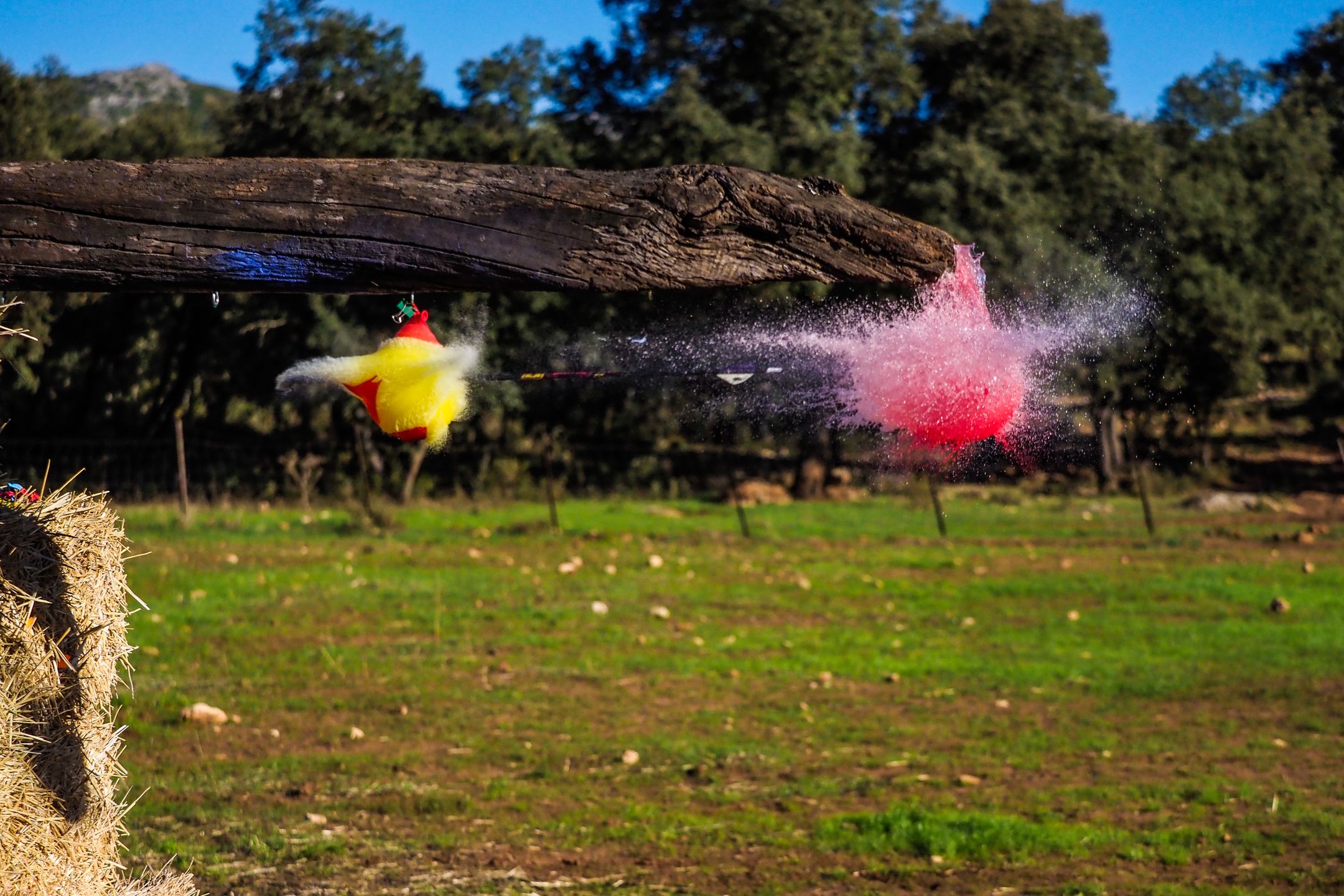 Olympus OM-D E-M1 Mark II - najszybszy na rynku [test] 33