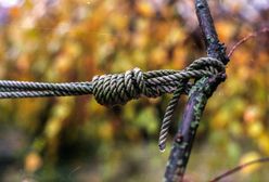 Śląskie. Wisiał na drzewie z zaciśniętą pętlą. Dramatyczna akcja w Kaletach