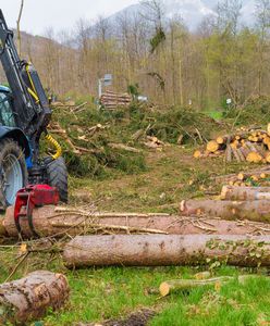 "Rabunkowa gospodarka". Szybka odpowiedź Niemiec