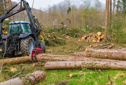 "Rabunkowa gospodarka". Szybka odpowiedź Niemiec