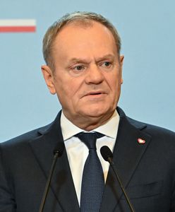 Tusk uderza w Nawrockiego i PiS. "Podziwu godny realizm"