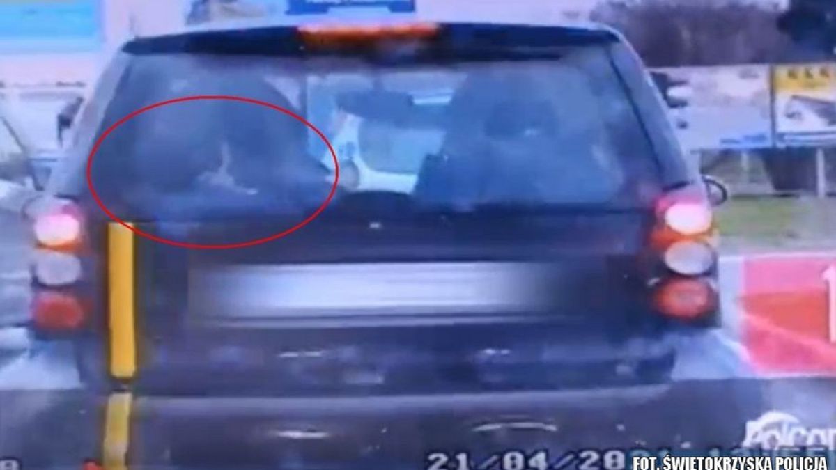 Za tylną szybą smarta policjanci zauważyli coś niepokojącego.