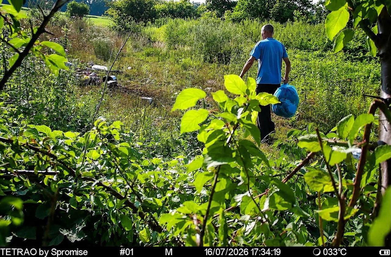 Ujęcie z fotopułapki. "Kolejny sprawca ujawniony"