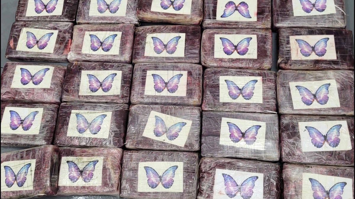 Niespodziewany finał połowu ryb