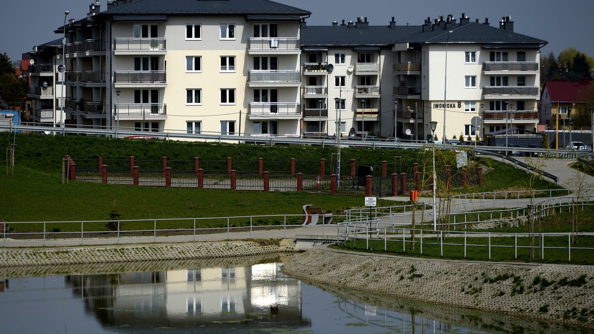 nowe bloki
Darek Delmanowicz
architektura, blok, bloki, budowa, locum, mieszkania, mieszkanie +, mieszkanie+, osiedle, rzesz�w, tanie, wynajem, plus, ilustracja ilustracje