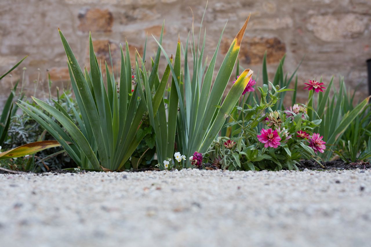 50 mm, 1/200 s, f/5.6, ISO 200, RAW, Canon 5Ds