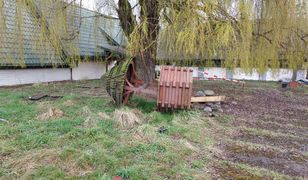 Poćwiartowane ciało zakopane w beczce. Prokuratura stawia zarzuty