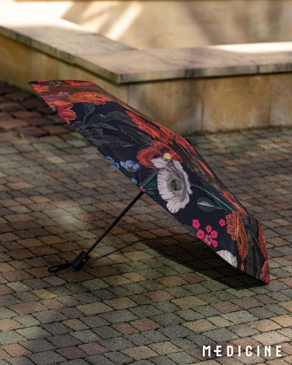 parasol