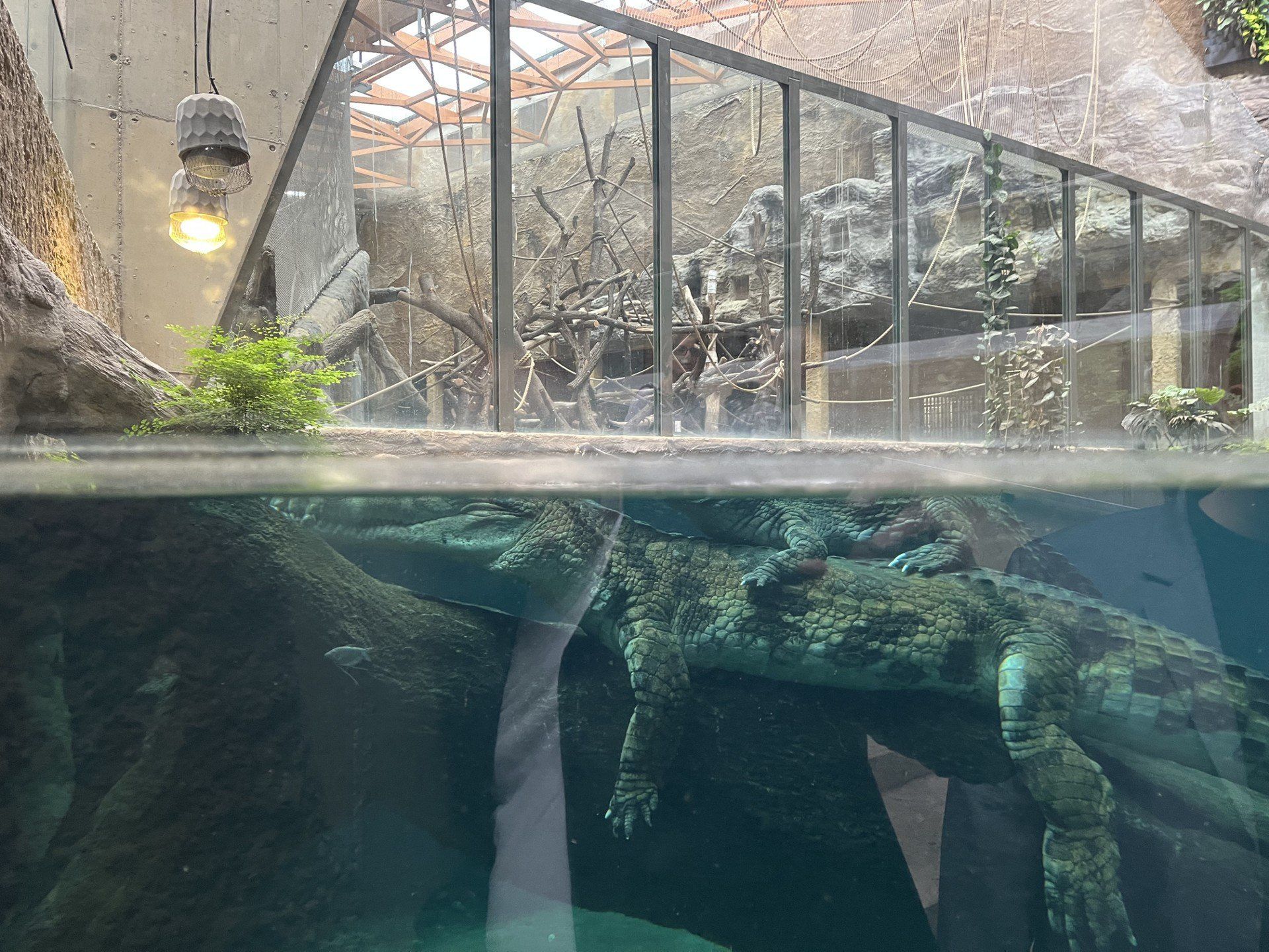 Orientarium w Łodzi