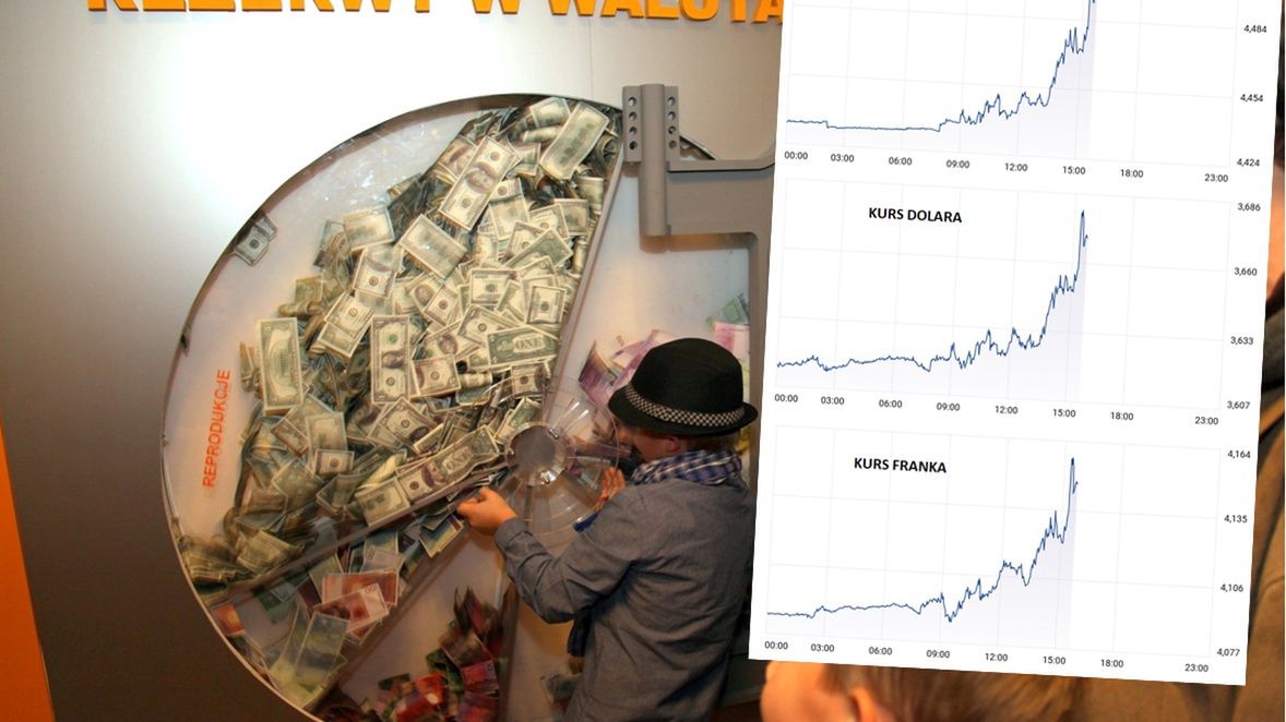 Narodowy Bank Polski zamieszał na rynku walut.