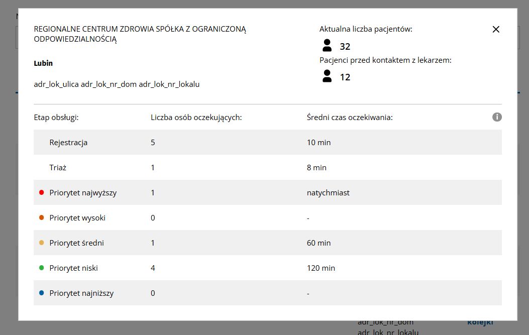 Przykładowa informacja o kolejce