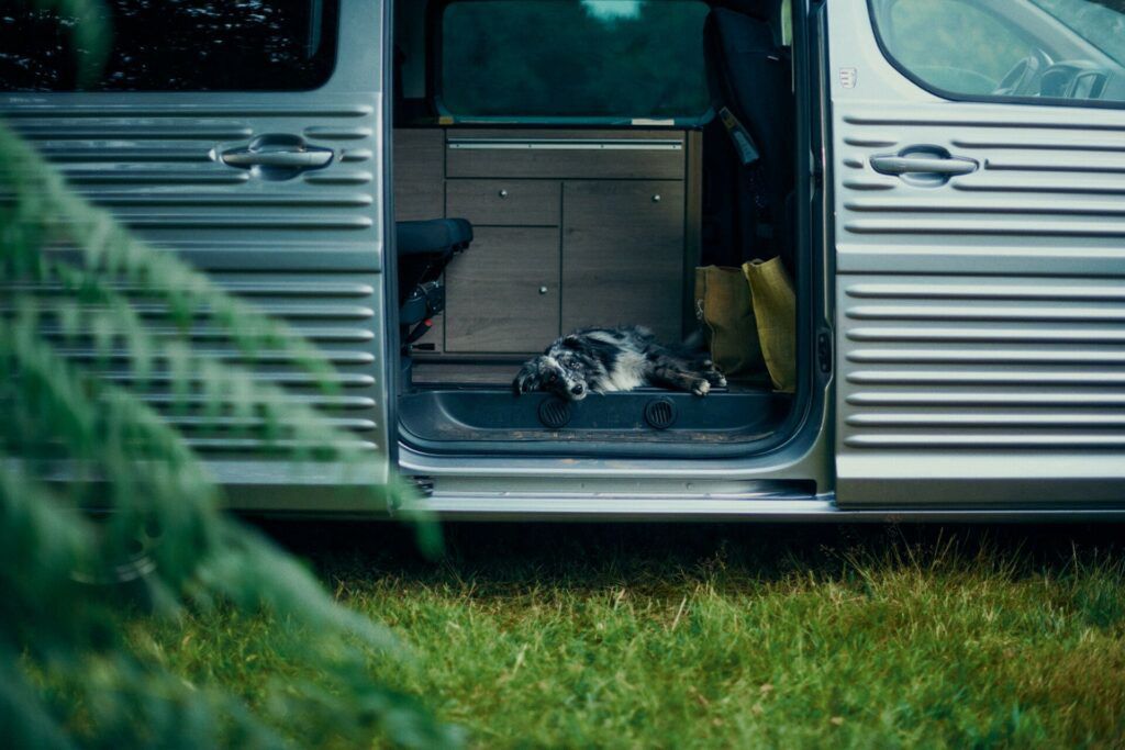 Citroen Type Holidays Concept