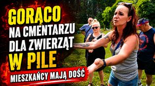 Burza na cmentarzu dla zwierząt w Pile. Mieszkańcy nie odpuszczają!