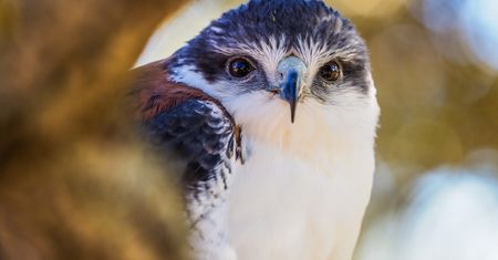 Olympus OM-D E-M1 Mark II - pierwsze zdjęcia przykładowe