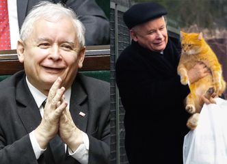 Jarosław Kaczyński o kotce Fionie: "Moja kotka aportuje winogrona"