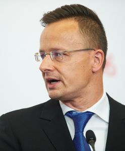 Dziennikarze śledczy: Hakerzy Putina opanowali węgierskie MSZ