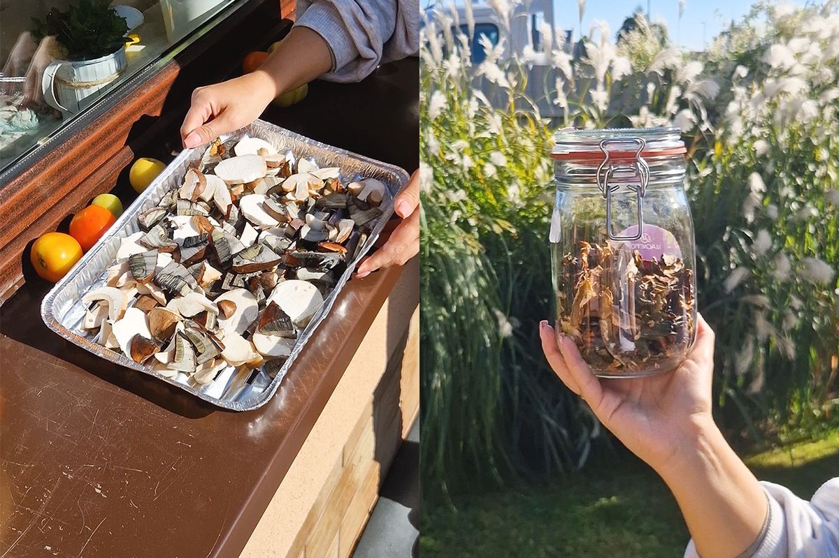 Daria od lat suszy grzyby w ten sam sposób