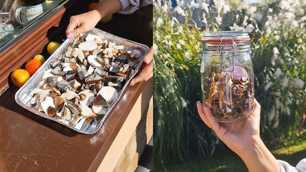 Daria od lat suszy grzyby w ten sam sposób