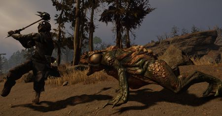 Nowe RPG od Piranha Bytes na zwiastunie z walkami
