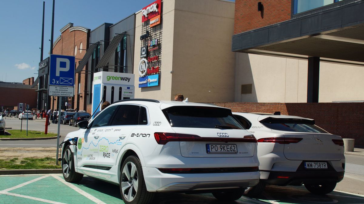 (fot. Michał Zieliński)