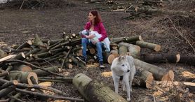 „Matka Polka na wyrębie”: krakowska artystka protestuje przeciwko wycince drzew