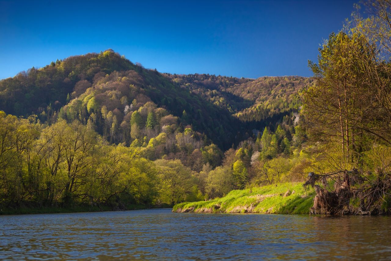 Odkryj urok Beskidów. W Muszynie odpoczniesz za wszystkie czasy