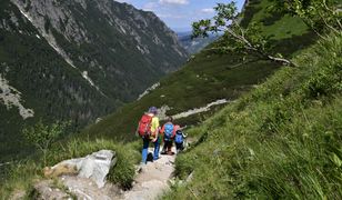 Narażają dzieci przez swoje ambicje. "Obserwuję nasilający się trend"