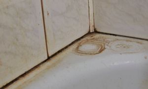 Kosztuje mniej niż złotówkę. W mig rozprawi się z pleśnią w łazience