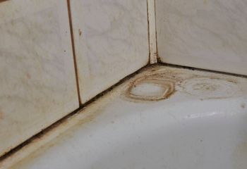 Kosztuje mniej niż złotówkę. W mig rozprawi się z pleśnią w łazience