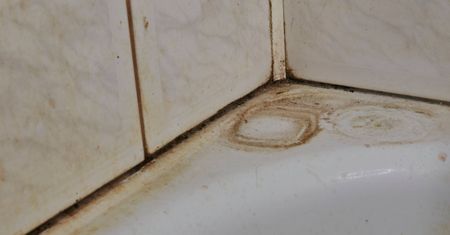 Posyp w łazience.Tak w mig pozbędziesz się pleśni z silikonu