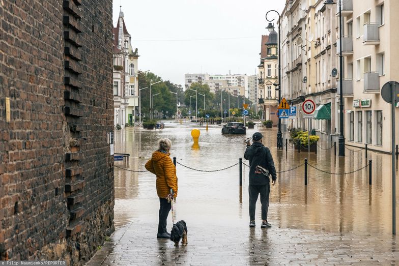 Wody Polskie odpowiadają na zarzuty burmistrza. "Odpływ wody ze zbiornika nie mógł być powodem podtopienia Nysy"