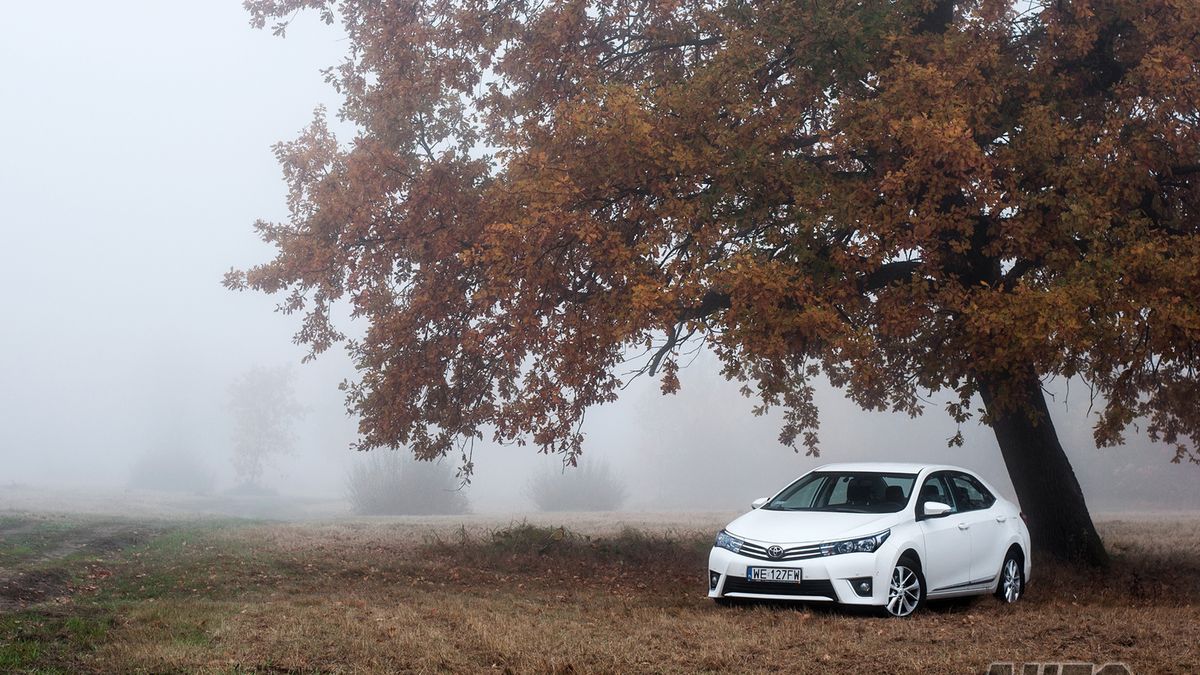 Zdjęcie ilustracyjne do artykułu