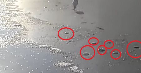 Przerażające zjawisko na plaży. Będzie tylko gorzej