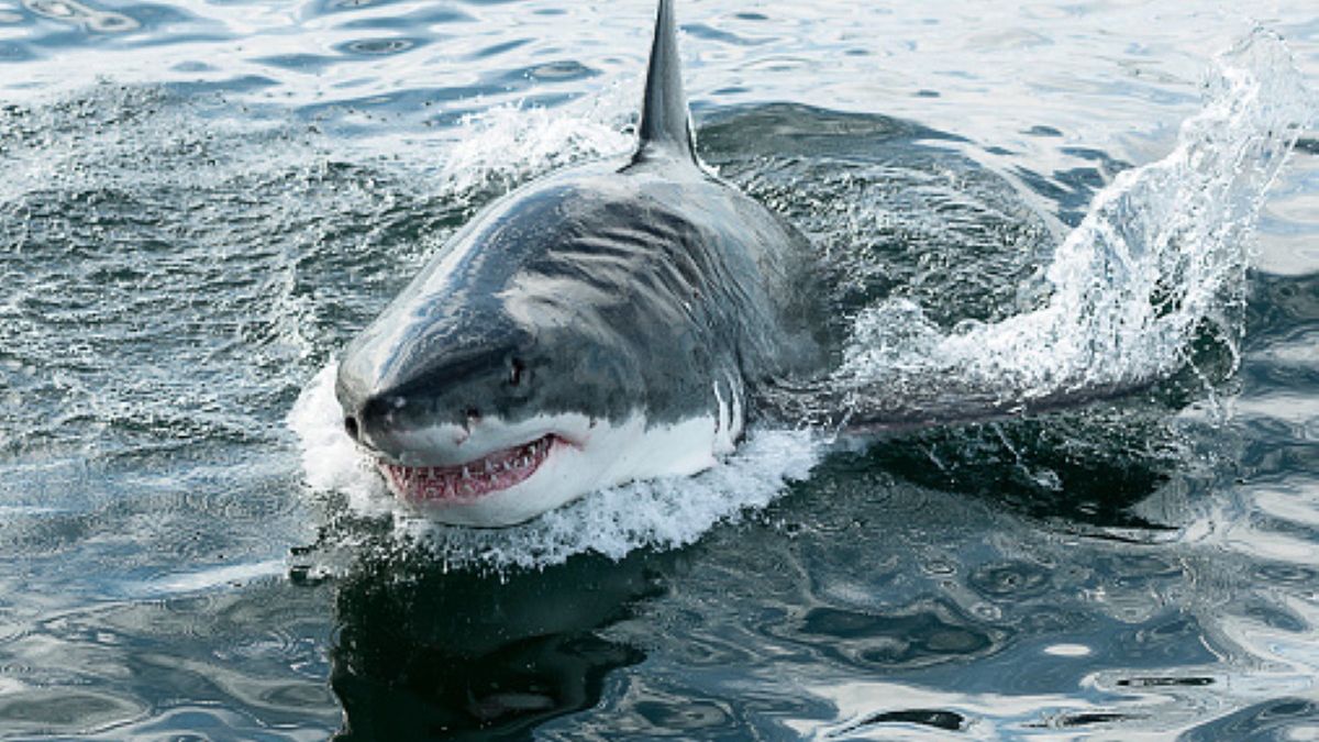 Zdjęcie ilustracyjne (