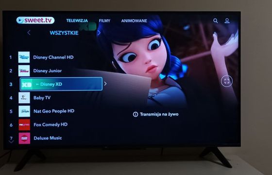 Nowa platforma z kanałami Disneya za 4,99 zł miesięcznie dostępna w Polsce
