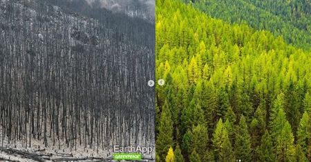 FaceApp inspiracją dla Greenpeace. Organizacja pokazuje jak Ziemia zmieni się przez ocieplenie klimatu