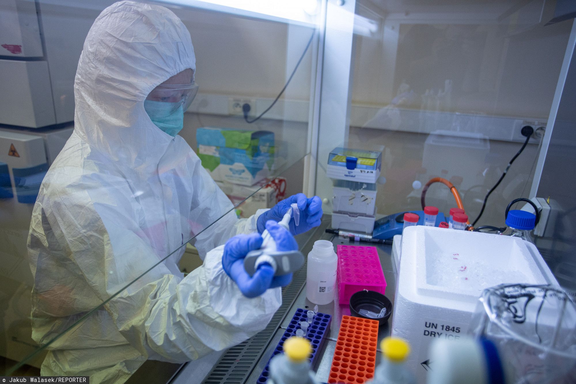 WHO - testy na obecność przeciwciał pozwolą zrozumieć skalę epidemii COVID-19.