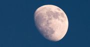 Ziemia ma drugi księżyc. Niesamowite odkrycie polskiego astronoma