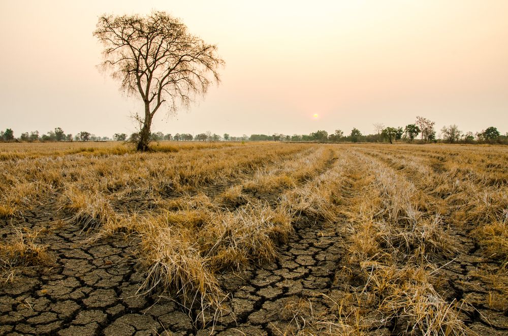 Oficjalne stanowisko PAN. To człowiek jest odpowiedziany za zmiany klimatyczne