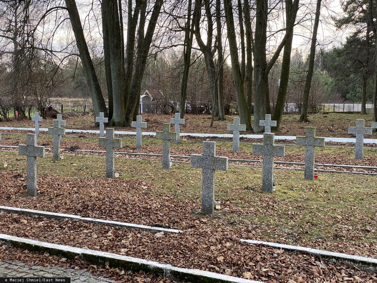 Kompostowanie ludzi. Czy taka będzie przyszłość pochówków?